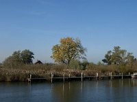 NL, Noord-Brabant, Drimmelen, Polder De Plomp 1, Saxifraga-Jan van der Straaten