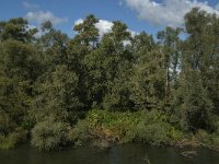 NL, Noord-Brabant, Drimmelen, Polder De Plomp 3, Saxifraga-Jan van der Straaten