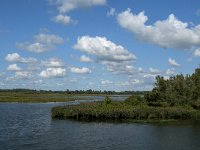 NL, Noord-Brabant, Drimmelen, Polder De Plomp 4, Saxifraga-Jan van der Straaten