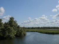 NL, Noord-Brabant, Drimmelen, Polder Lange Plaat 12, Saxifraga-Jan van der Straaten