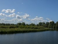 NL, Noord-Brabant, Drimmelen, Polder Lange Plaat 13, Saxifraga-Jan van der Straaten