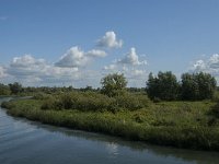 NL, Noord-Brabant, Drimmelen, Polder Lange Plaat 15, Saxifraga-Jan van der Straaten