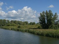 NL, Noord-Brabant, Drimmelen, Polder Lange Plaat 16, Saxifraga-Jan van der Straaten