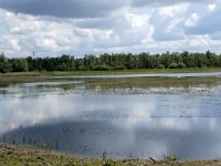 NL, Noord-Brabant, Drimmelen, Polder Lange Plaat 21, Saxifraga-Willem van Kruijsbergen