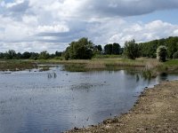 NL, Noord-Brabant, Drimmelen, Polder Lange Plaat 27, Saxifraga-Willem van Kruijsbergen