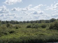 NL, Noord-Brabant, Drimmelen, Polder Lange Plaat 37, Saxifraga-Willem van Kruijsbergen