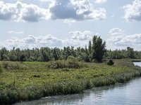 NL, Noord-Brabant, Drimmelen, Polder Lange Plaat 38, Saxifraga-Willem van Kruijsbergen