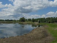 NL, Noord-Brabant, Drimmelen, Polder Lange Plaat 8, Saxifraga-Jan van der Straaten