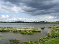 NL, Noord-Brabant, Drimmelen, Polder Lepelaar 2, Saxifraga-Willem van Kruijsbergen