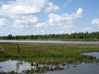 NL, Noord-Brabant, Drimmelen, Polder Lepelaar 4, Saxifraga-Willem van Kruijsbergen