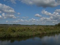 NL, Noord-Brabant, Drimmelen, Polder Moordplaat 12, Saxifraga-Jan van der Straaten