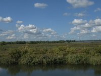 NL, Noord-Brabant, Drimmelen, Polder Moordplaat 13, Saxifraga-Jan van der Straaten