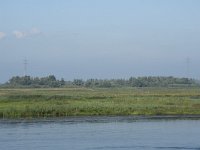 NL, Noord-Brabant, Drimmelen, Polder Moordplaat 9, Saxifraga-Willem van Kruijsbergen