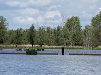 NL, Noord-Brabant, Drimmelen, Polder Turfzakken 4, Saxifraga-Willem van Kruijsbergen