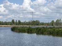 NL, Noord-Brabant, Drimmelen, Polder Turfzakken 5, Saxifraga-Willem van Kruijsbergen