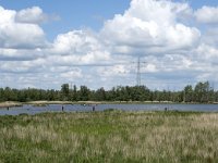 NL, Noord-Brabant, Drimmelen, Polder Turfzakken 6, Saxifraga-Willem van Kruijsbergen