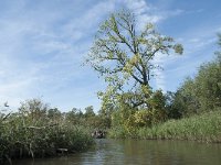 NL, Noord-Brabant, Drimmelen, Sloot Beneden Petrus 16, Saxifraga-Annemiek Bouwman