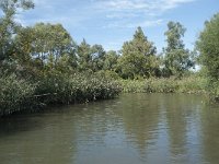 NL, Noord-Brabant, Drimmelen, Sloot Beneden Petrus 21, Saxifraga-Annemiek Bouwman