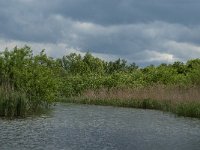 NL, Noord-Brabant, Drimmelen, Sloot van St Jan 1, Saxifraga-Jan van der Straaten