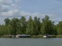 NL, Noord-Brabant, Drimmelen, Spaarbekken Petrusplaat 1, Saxifraga-Jan van der Straaten