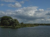 NL, Noord-Brabant, Drimmelen, Spijkerboor 16, Saxifraga-Jan van der Straaten