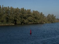 NL, Noord-Brabant, Drimmelen, Spijkerboor 37, Saxifraga-Jan van der Straaten