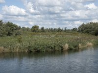 NL, Noord-Brabant, Drimmelen, Steurgat 20, Saxifraga-Willem van Kruijsbergen