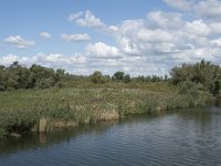 NL, Noord-Brabant, Drimmelen, Steurgat 21, Saxifraga-Willem van Kruijsbergen