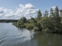 NL, Noord-Brabant, Drimmelen, Steurgat 22, Saxifraga-Willem van Kruijsbergen