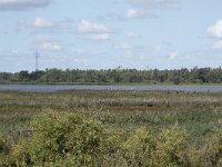 NL, Noord-Brabant, Drimmelen, Steurgat, Polder Moordplaat 7, Saxifraga-Willem van Kruijsbergen