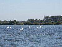 NL, Noord-Brabant, Drimmelen, Zuidergat van de Visschen 17, Saxifraga-Willem van Kruijsbergen