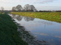 NL, Noord-Brabant, Eersel, Kleine Beerze in Molenbroek 1, Saxifraga-Tom Heijnen