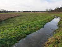 NL, Noord-Brabant, Eersel, Landschotse Heide 1, Saxifraga-Tom Heijnen