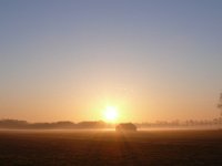 NL, Noord-Brabant, Eersel, Meester van Hasseltweg 2, Saxifraga-Tom Heijnen