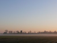 NL, Noord-Brabant, Eersel, Meester van Hasseltweg 3, Saxifraga-Tom Heijnen