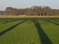 NL, Noord-Brabant, Eersel, Spekdonken 1, Saxifraga-Tom Heijnen