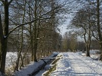 NL, Noord-Brabant, Eindhoven, Bokt 16, Saxifraga-Jan van der Straaten