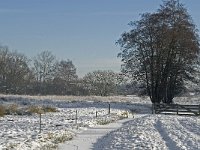 NL, Noord-Brabant, Eindhoven, Bokt 3, Saxifraga-Marijke Verhagen