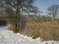 NL, Noord-Brabant, Eindhoven, Bokt, Kleine Dommel 10, Saxifraga-Marijke Verhagen