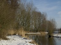 NL, Noord-Brabant, Eindhoven, Bokt, Kleine Dommel 2, Saxifraga-Marijke Verhagen