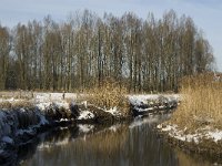 NL, Noord-Brabant, Eindhoven, Bokt, Kleine Dommel 7, Saxifraga-Marijke Verhagen