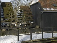 NL, Noord-Brabant, Eindhoven, Collse Molen 7, Saxifraga-Marijke Verhagen