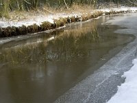 NL, Noord-Brabant, Eindhoven, Collse Zeggen 12, Saxifraga-Jan van der Straaten