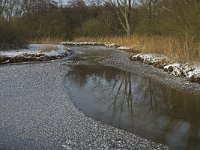 NL, Noord-Brabant, Eindhoven, Collse Zeggen 14, Saxifraga-Jan van der Straaten