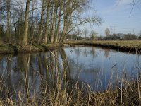 NL, Noord-Brabant, Eindhoven, De Bogten, Dommel 4, Saxifraga-Jan van der Straaten