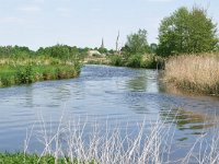 NL, Noord-Brabant, Eindhoven, Dommel valley between Sterrenlaan and Hooidonk 7, Saxifraga-Tom Heijnen