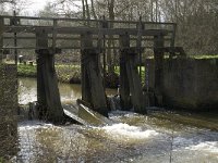 NL, Noord-Brabant, Eindhoven, Genneper Watermolen 2, Saxifraga-Jan van der Straaten