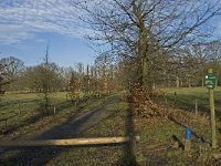 NL, Noord-Brabant, Eindhoven, Lage Heide 2, Saxifraga-Jan van der Straaten