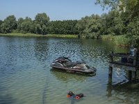 NL, Noord-Brabant, Geertruidenberg, NION Plas 4, Saxifraga-Marijke Verhagen