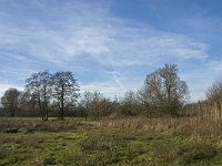 NL, Noord-Brabant, Geldrop-Mierlo, Gijzenrooische Zegge 10, Saxifraga-Jan van der Straaten